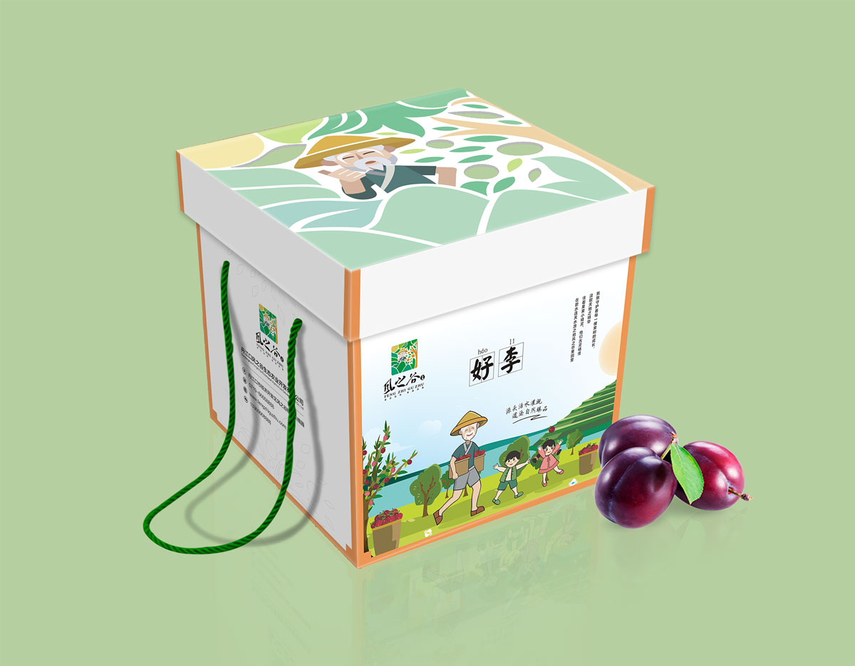 08好李大號包裝.png